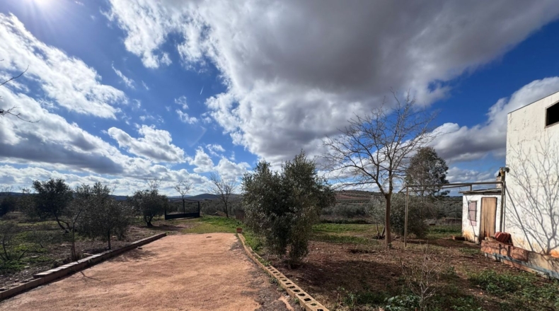 Ciudad Real - Valdepeñas - 43465m2