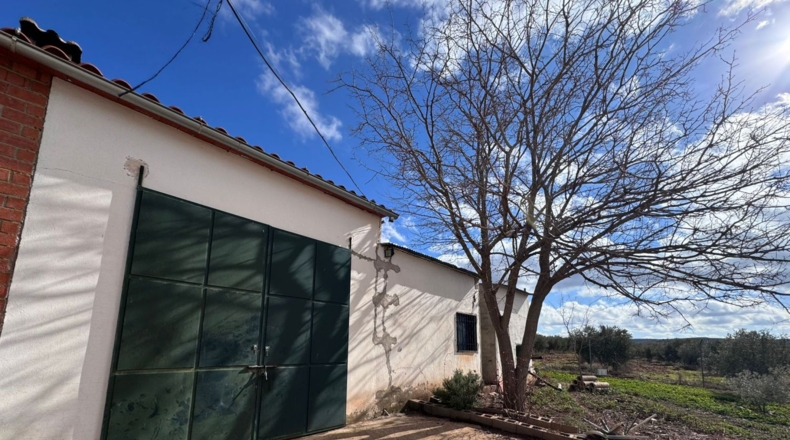 Ciudad Real - Valdepeñas - 43465m2