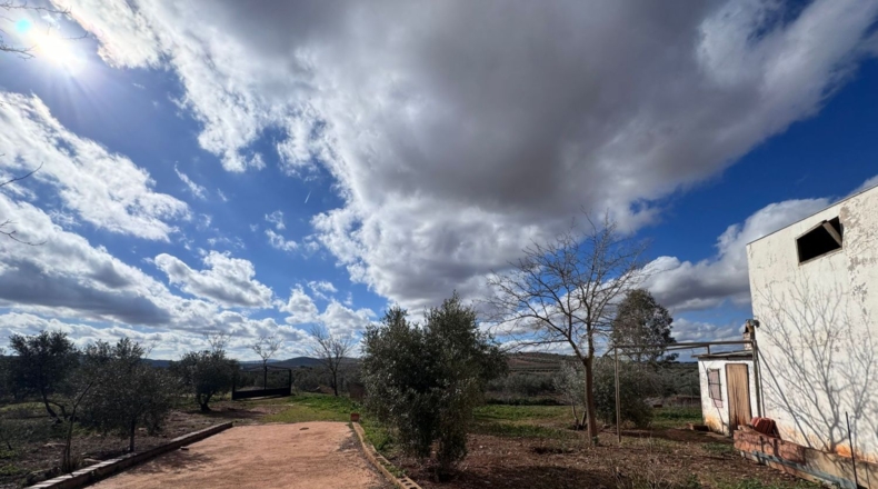 Ciudad Real - Valdepeñas - 43465m2
