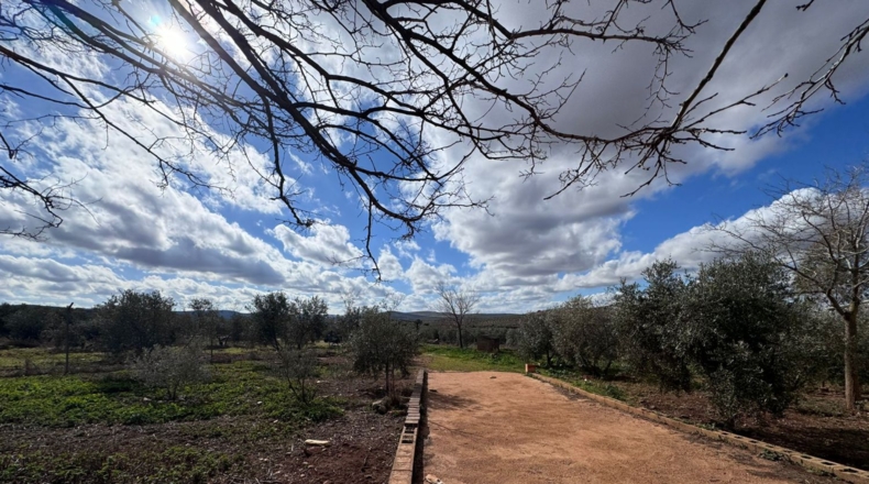 Ciudad Real - Valdepeñas - 43465m2