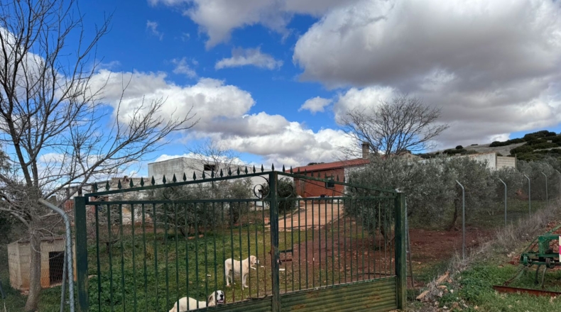 Ciudad Real - Valdepeñas - 43465m2