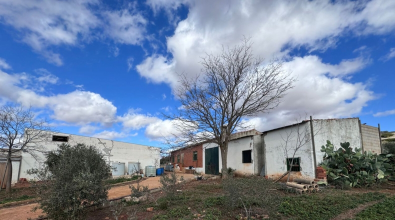 Ciudad Real - Valdepeñas - 43465m2