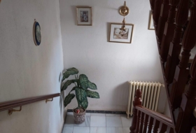 Foto 20