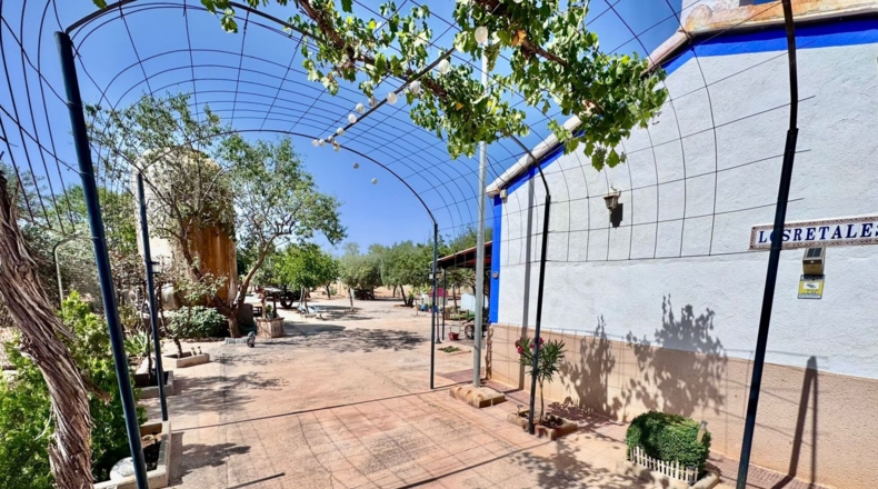 Ciudad Real - Valdepeñas - 8624m2
