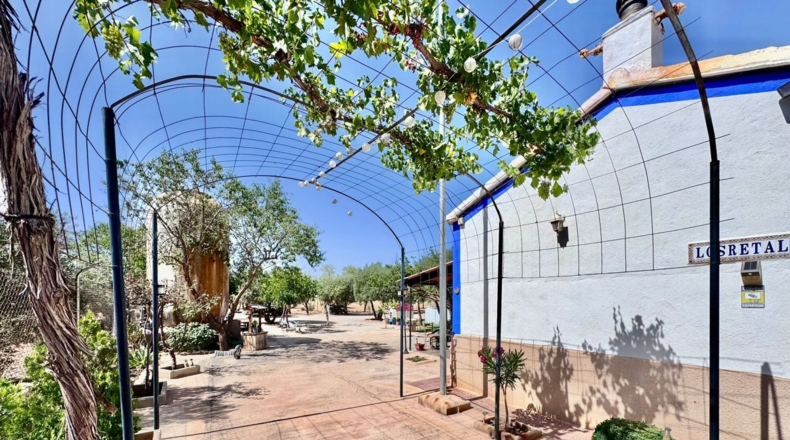 Ciudad Real - Valdepeñas - 8624m2