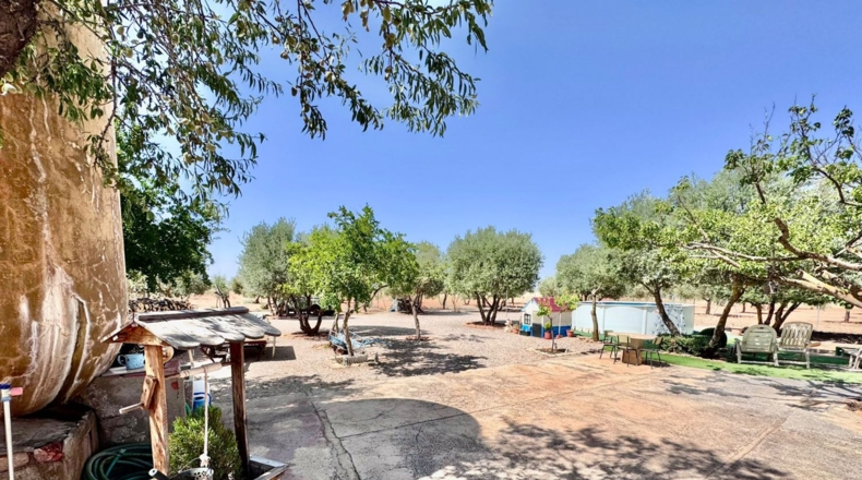 Ciudad Real - Valdepeñas - 8624m2