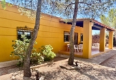 Rural estate for sale in Valdepeñas ref: TR308151 photo