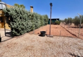 Rural estate for sale in Valdepeñas ref: TR308151 photo