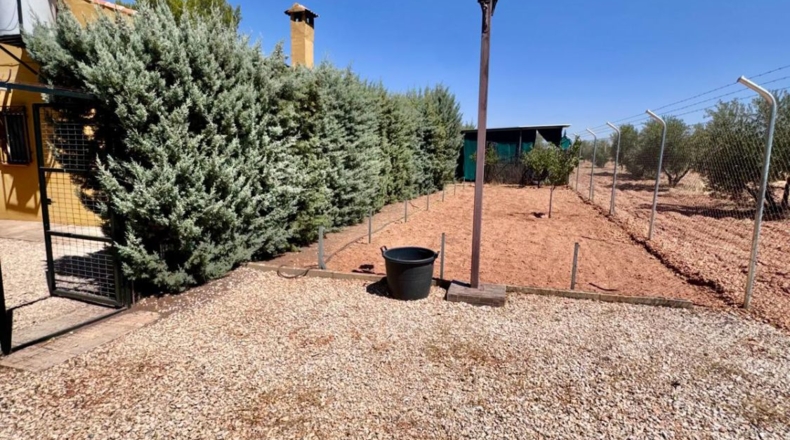 Ciudad Real - Valdepeñas - 8000m2
