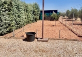 Rural estate for sale in Valdepeñas ref: TR308151 photo