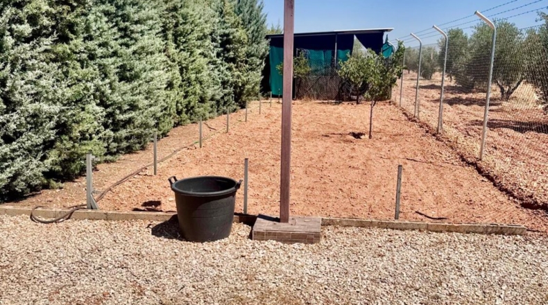 Ciudad Real - Valdepeñas - 8000m2