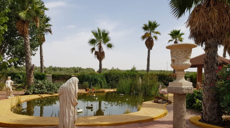 Ciudad Real - Santa Cruz de Mudela - 71369m2
