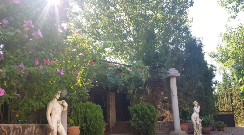 Ciudad Real - Santa Cruz de Mudela - 71369m2