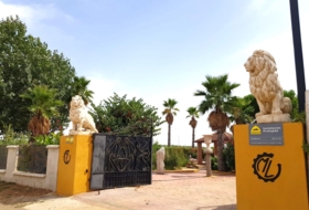 Santa Cruz de Mudela 71369&nbsp;m² 
