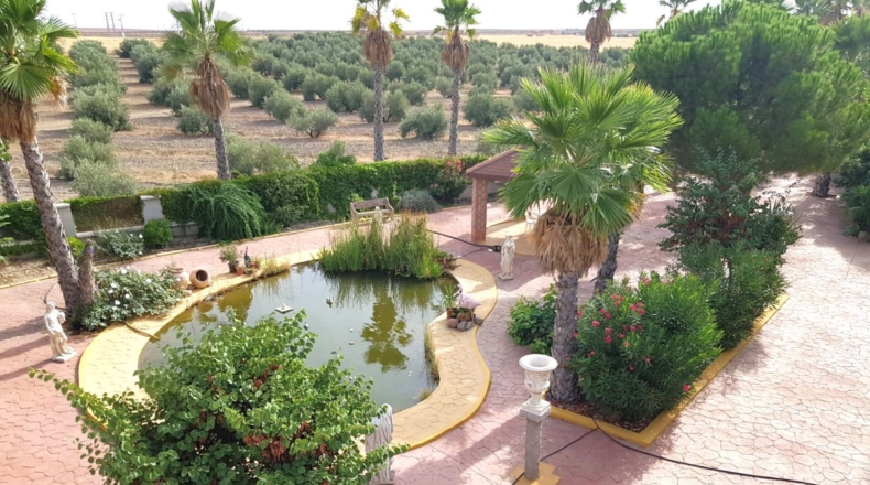 Ciudad Real - Santa Cruz de Mudela - 71369m2