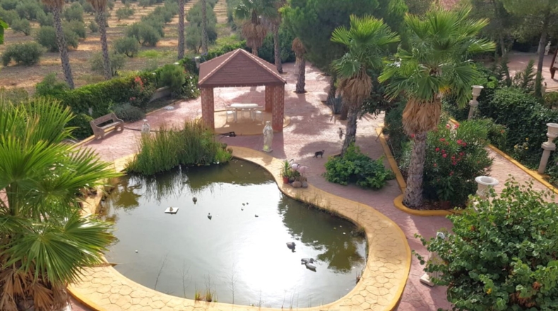 Ciudad Real - Santa Cruz de Mudela - 71369m2