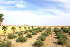 Santa Cruz de Mudela 71369&nbsp;m² 
