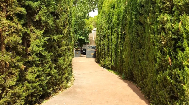 Ciudad Real - Santa Cruz de Mudela - 71369m2