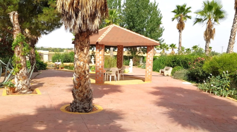 Ciudad Real - Santa Cruz de Mudela - 71369m2
