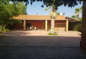 Finca rústica en venda a Santa Cruz de Mudela ref.: TR326485 foto