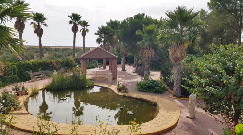 Ciudad Real - Santa Cruz de Mudela - 71369m2
