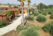 Finca rústica en venda a Santa Cruz de Mudela ref.: TR326485 foto