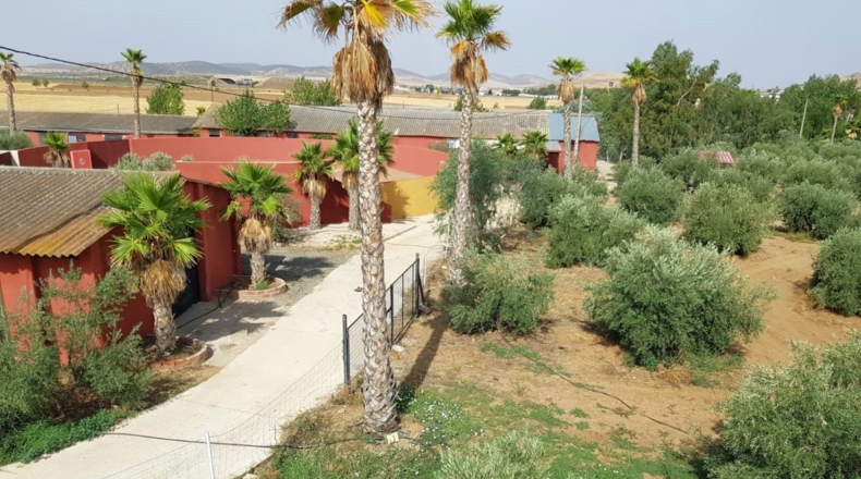 Ciudad Real - Santa Cruz de Mudela - 71369m2