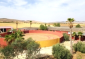 Finca rústica en venda a Santa Cruz de Mudela ref.: TR326485 foto