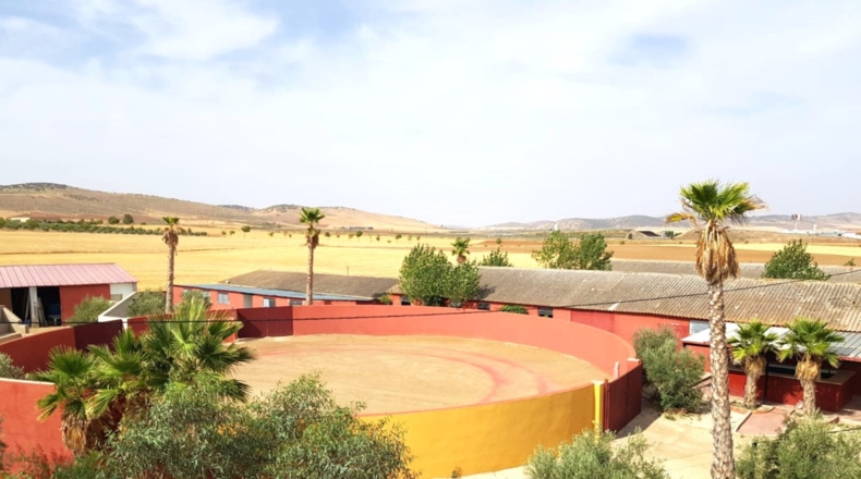 Ciudad Real - Santa Cruz de Mudela - 71369m2