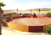 Finca rústica en venda a Santa Cruz de Mudela ref.: TR326485 foto