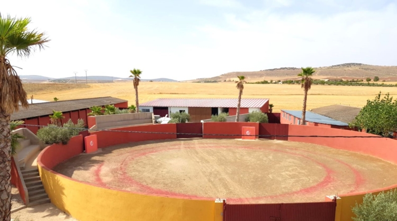Ciudad Real - Santa Cruz de Mudela - 71369m2