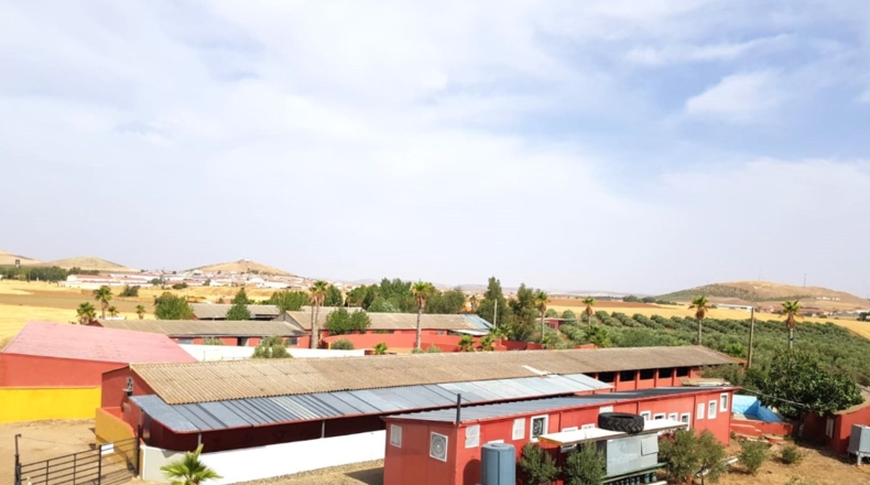 Ciudad Real - Santa Cruz de Mudela - 71369m2