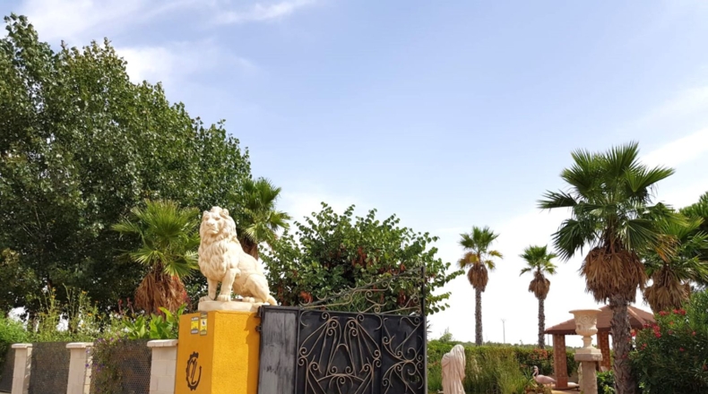 Ciudad Real - Santa Cruz de Mudela - 71369m2