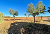 Casa de camp amb terreny en venda a Valdepeñas ref.: TR350923 foto