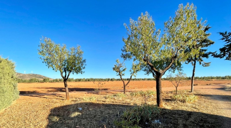 Ciudad Real - Valdepeñas - 150m2