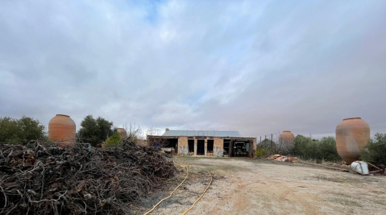 Ciudad Real - Valdepeñas - 58000m2