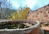 Non-developable land for sale in Valdepeñas ref: TR364913 photo