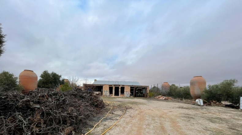 Ciudad Real - Valdepeñas - 58000m2