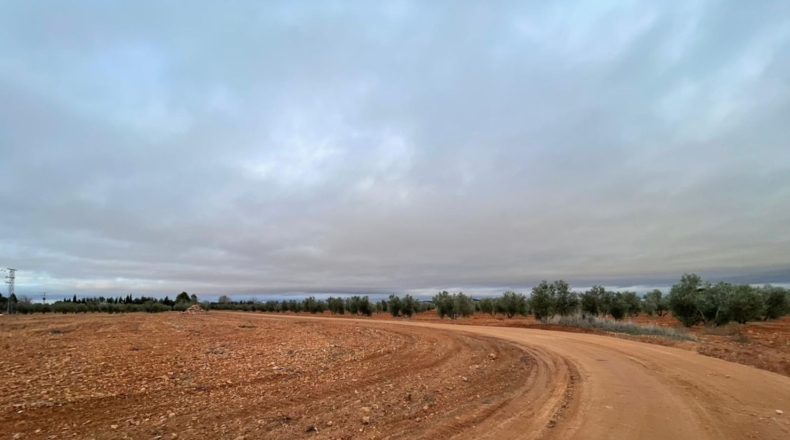 Ciudad Real - Valdepeñas - 58000m2