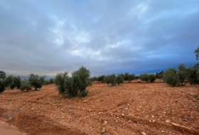 Foto 12