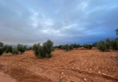 Non-developable land for sale in Valdepeñas ref: TR364913 photo
