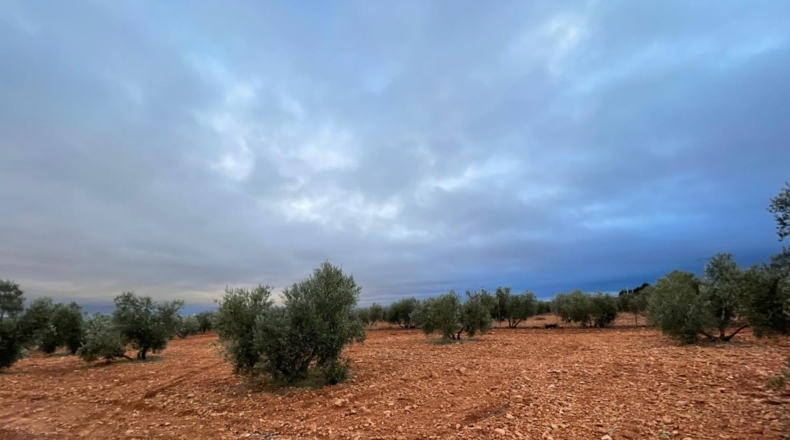 Ciudad Real - Valdepeñas - 58000m2
