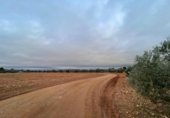 Non-developable land for sale in Valdepeñas ref: TR364913 photo