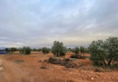 Non-developable land for sale in Valdepeñas ref: TR364913 photo