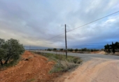 Non-developable land for sale in Valdepeñas ref: TR364913 photo