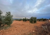 Non-developable land for sale in Valdepeñas ref: TR364913 photo