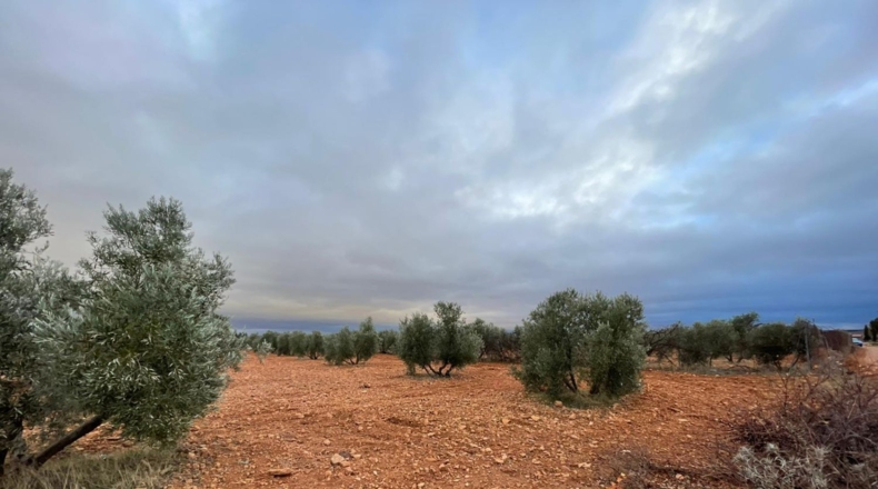 Ciudad Real - Valdepeñas - 58000m2