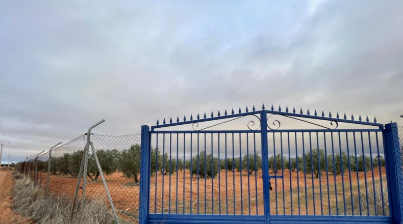 Ciudad Real - Valdepeñas - 58000m2