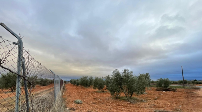 Ciudad Real - Valdepeñas - 58000m2