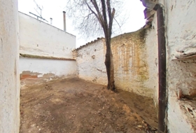 Foto 19